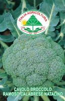 Cavolo broccolo ramoso calabrese natalino